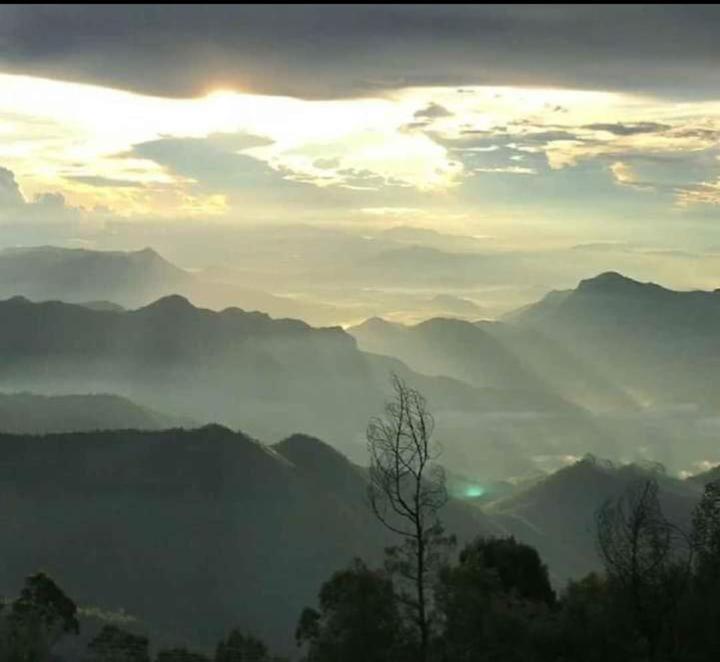 Praveen'S Wood House Kodaikanal Vattakanal Exteriör bild